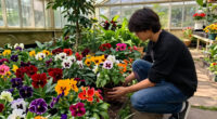 7 Stunning Flowers You've Never Heard Of – And September Is The Perfect Time To Plant Them