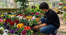 7 Stunning Flowers You've Never Heard Of – And September Is The Perfect Time To Plant Them