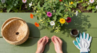 Can You Take Seeds From Public Plants? The Legal Rules Gardeners Should Know Before Pocketing Seed Pods