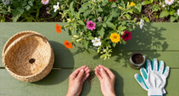 Can You Take Seeds From Public Plants? The Legal Rules Gardeners Should Know Before Pocketing Seed Pods