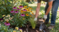 Gardeners Are Replacing Tired Flowers With These 5 Gorgeous Prairie Plants That Shine In Fall
