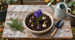 How To Plant Hyacinth Bulbs In September For Bowls Of Fragrant Christmas Flowers