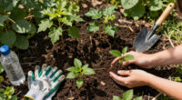 Miss Earth South Africa Plants 125 Trees For Arbor Week In Johannesburg - The Citizen