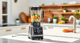 Ninja Professional Blender: Your Summer Smoothie Sidekick
