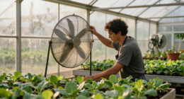 15 Best Greenhouse Ventilation Fans for Healthier Plant Growth in 2027