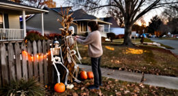 15 Best Halloween Outdoor Skeleton Decorations for 2027