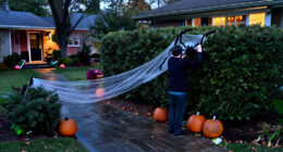 15 Best Halloween Outdoor Spider Decorations for 2027