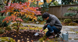 3 Things Your Japanese Maples Need Before The End Of October – An Arborist Reveals How To Prepare Them For Winter