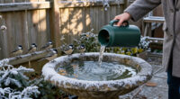 4 Smart Ways To Winterize Your Bird Bath And Stop This Life-Giving Water Supply Freezing Over