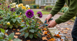 5 Plants To Deadhead In October For Extra Blooms This Autumn