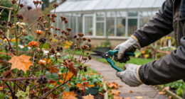 5 Plants You Should Never Prune In October – Or You Risk Ruining A Gorgeous Winter Display & Next Year's Blooms