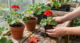 7 Easy Garden Plants You Can Grow For Free From Fall Cuttings