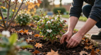 8 Fragrant Shrubs To Plant In October That Will Your Garden With Rich Perfume