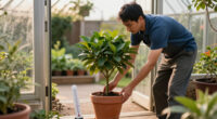 Got Fruit Trees In Pots? This Is The Temperature That Signals It’s Time To Move Them Indoors
