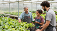 Greenhouse Megastore Returns To George Family Ownership After BFG Supply Co. Bankruptcy
