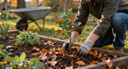I Never Buy Mulch – These 6 Free Materials From Fall Yard Cleanup Protect Plants All Winter