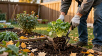 The Best Time To Move These 6 Backyard Plants Is Fall – To Make Sure They Get A Better Start Next Year