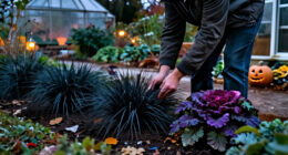 Want A Spooky Garden For Halloween? 7 Dark And Dramatic Plants To Create A Gothic Look At Home